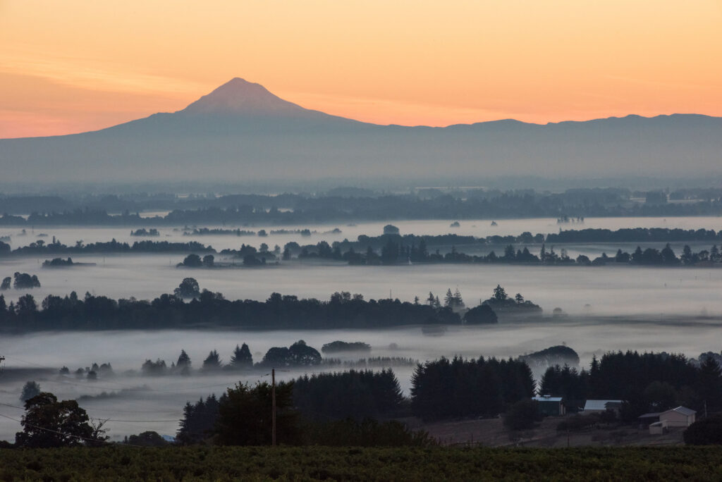 The sun has set behind rolling hills. The sky is orange.  There is a valley with silhouettes of trees and mist has settled into the valley.