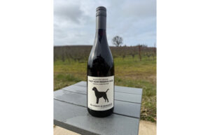 A bottle of wine on a table with a green field in the distance. The label says Black Dog Pinot Noir