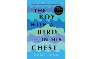 A book cover with illustrated waves. It says The Boy with a Bird in his Chest