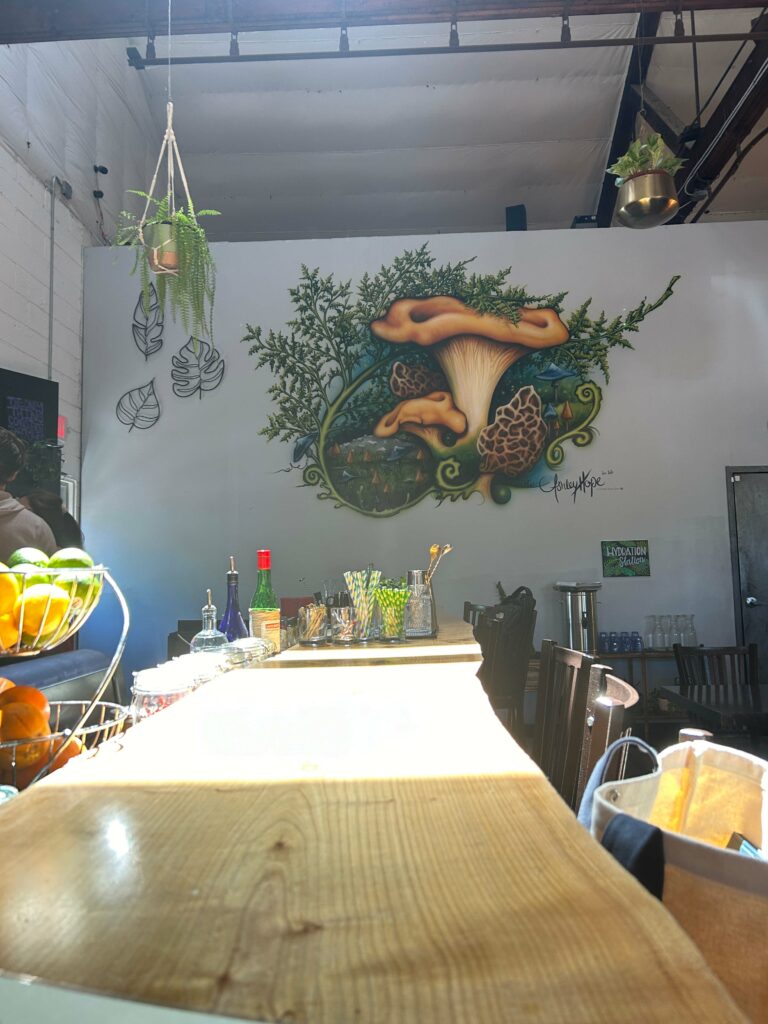 A long bar made out of a single flat slab of wood. Baskets of citrus fruit are on one side, and classes full of striped paper straws and stirring spoons are at the end of the bar. A mural of mushrooms and greenery are on the wall and plants hang from the ceiling.