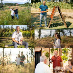 A collage of people working in vineyards and in tasting rooms.