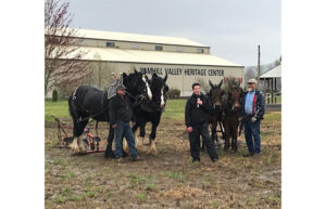 A man stands with a microphone between two teams of horses with plows.