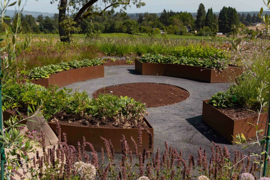 A circular raised garden bed with a lot of plants in and around them. 