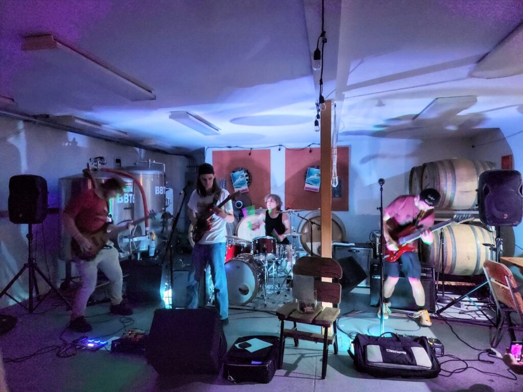 4 members of a band play music in a room with a low ceiling.  There are barrels behind them.