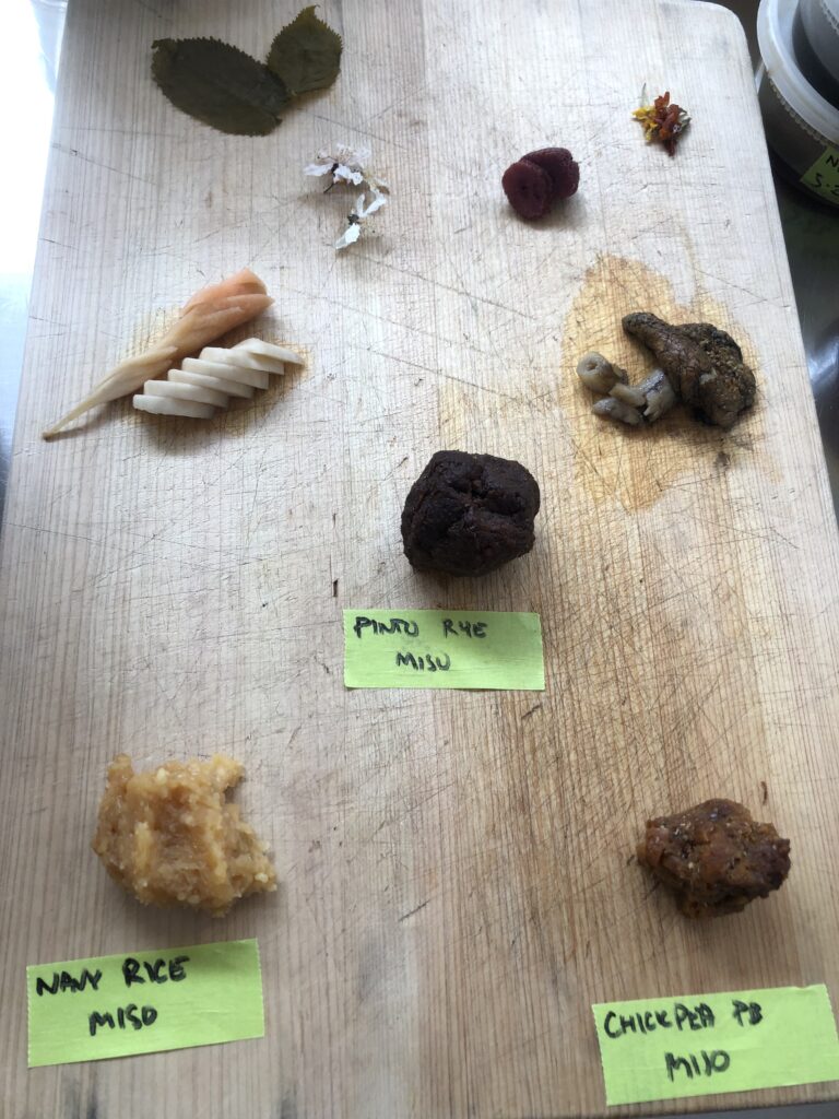 A wood board with a variety of fermented foods.  Pinto rye miso, navy rice miso and chickpea miso are labeled.