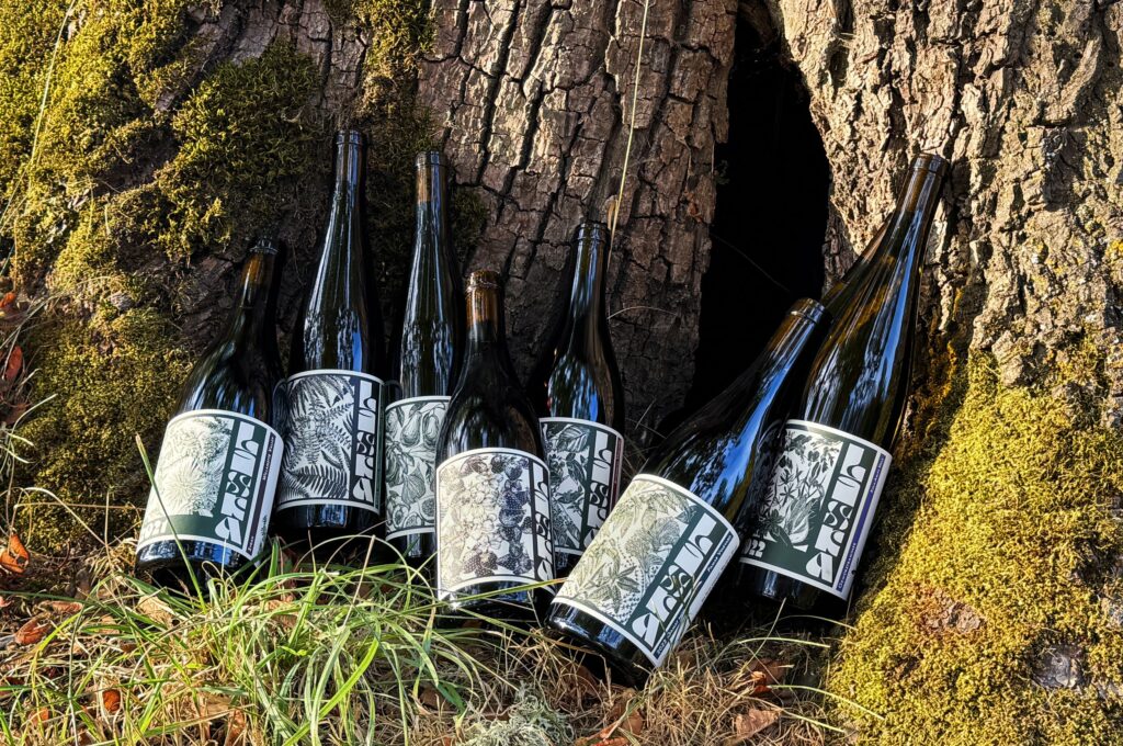 7 bottles of wine with black and white labels.  They are placed at the base of a tree, nestled in bright green moss.