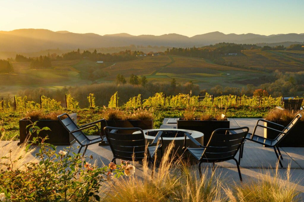 A firepit with chairs placed around it.  They sit on a cement patio.  It is surrounded by carefully landscaped plants and a vineyard.  There is an expansive view of rolling hills and lush vegetation.  It is all bathed in golden sunlight.