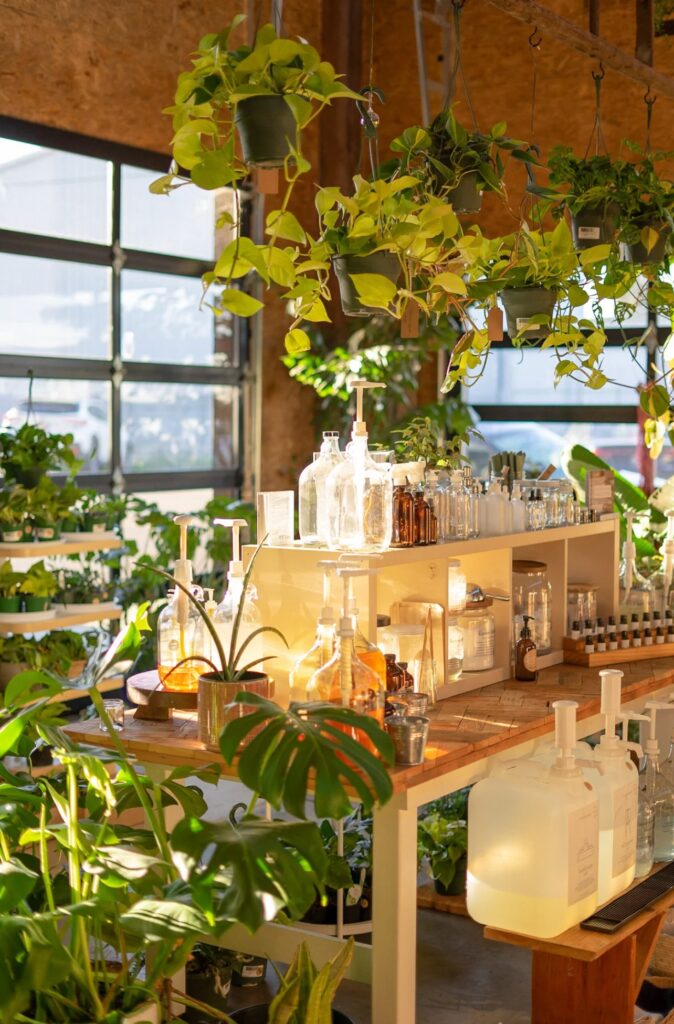 A retail display of glass bottles and plants are lit with golden sunshine.