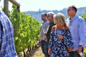 A group of people stand amidst grape vines on a sunny day.