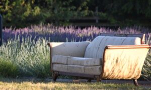 A couch is a focal point and it sits in front of a field of lavender.
