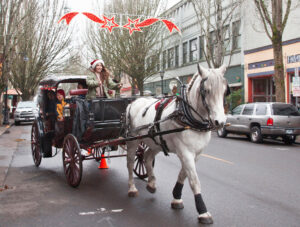 A young woman drives a horse drawn carriage down a street in Downtown McMinnville.