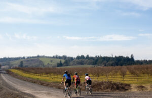 Spring image of cyclists riding on a gravel road in the country.