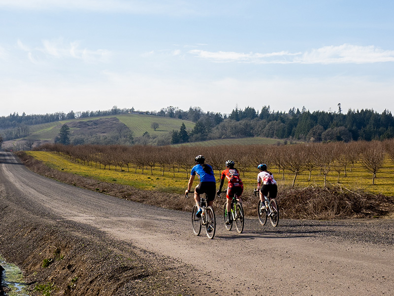 Cyclists riding on a gravel road