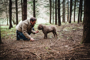 A man holds up a truffle to his truffle hunting dog.