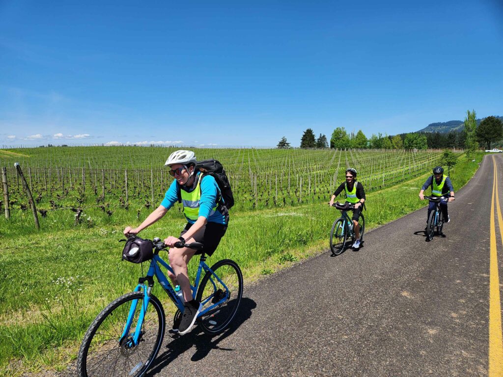 Three people ride bicycles along a road overlooking a vineyard.